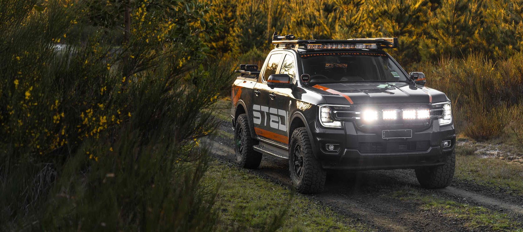 STEDI Quad EVO